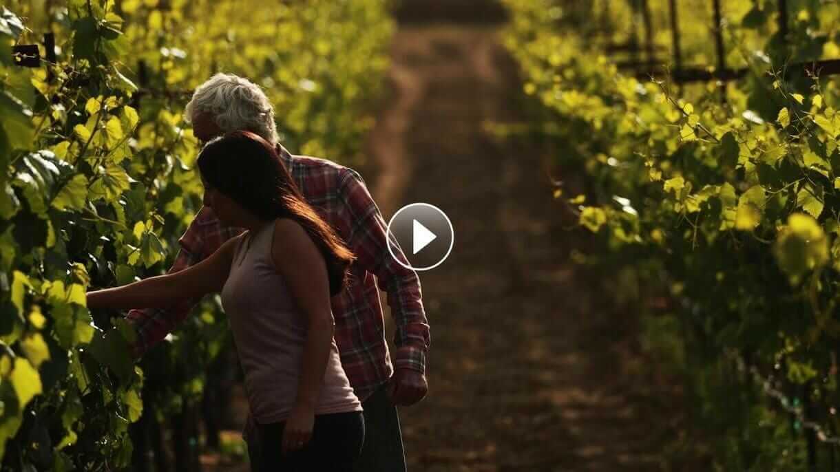 Ritchie Vineyard video thumbnail