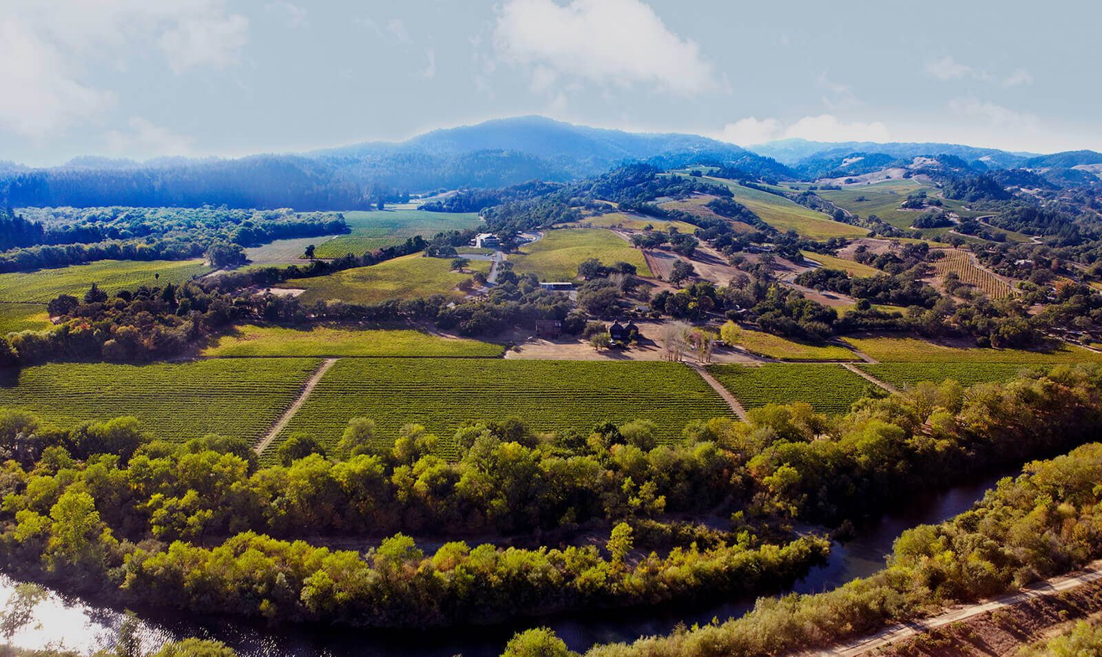 Gary Farrell Vineyards