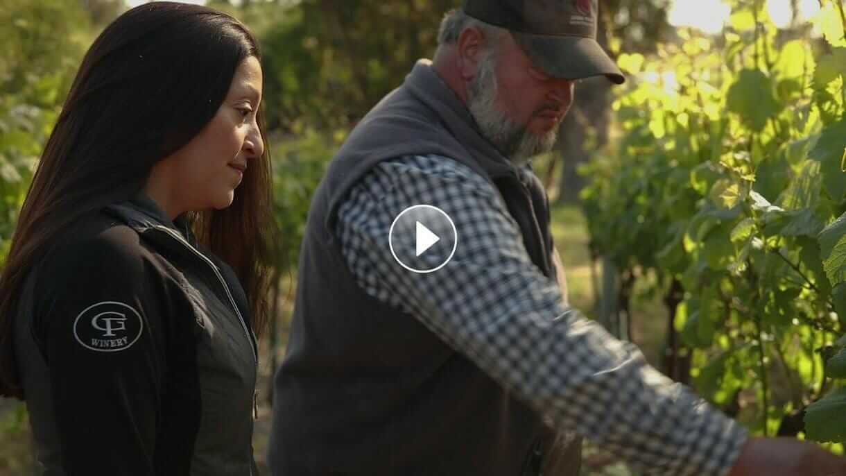 McDonald Vineyard Video Thumbnail