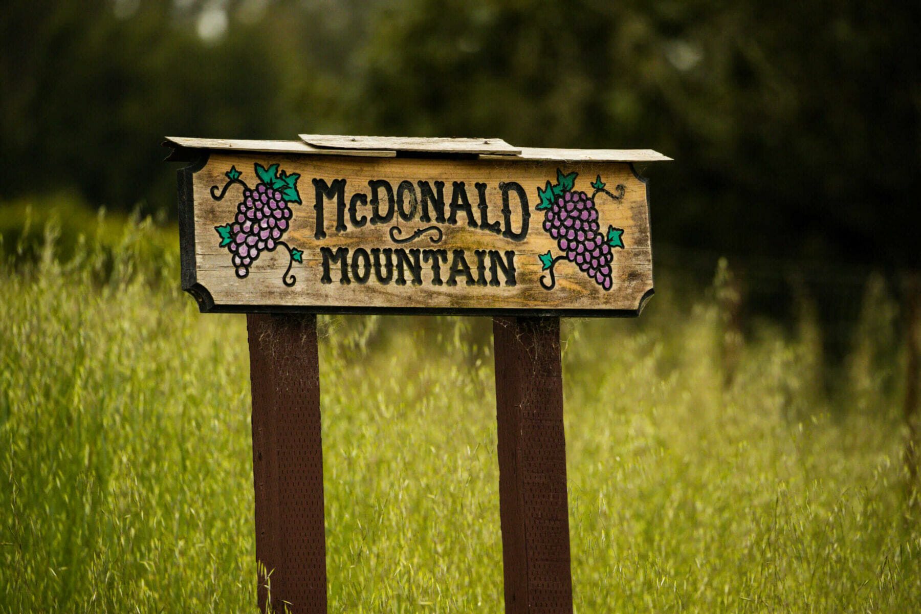 Vineyard Spotlight: McDonald Mountain Vineyard
