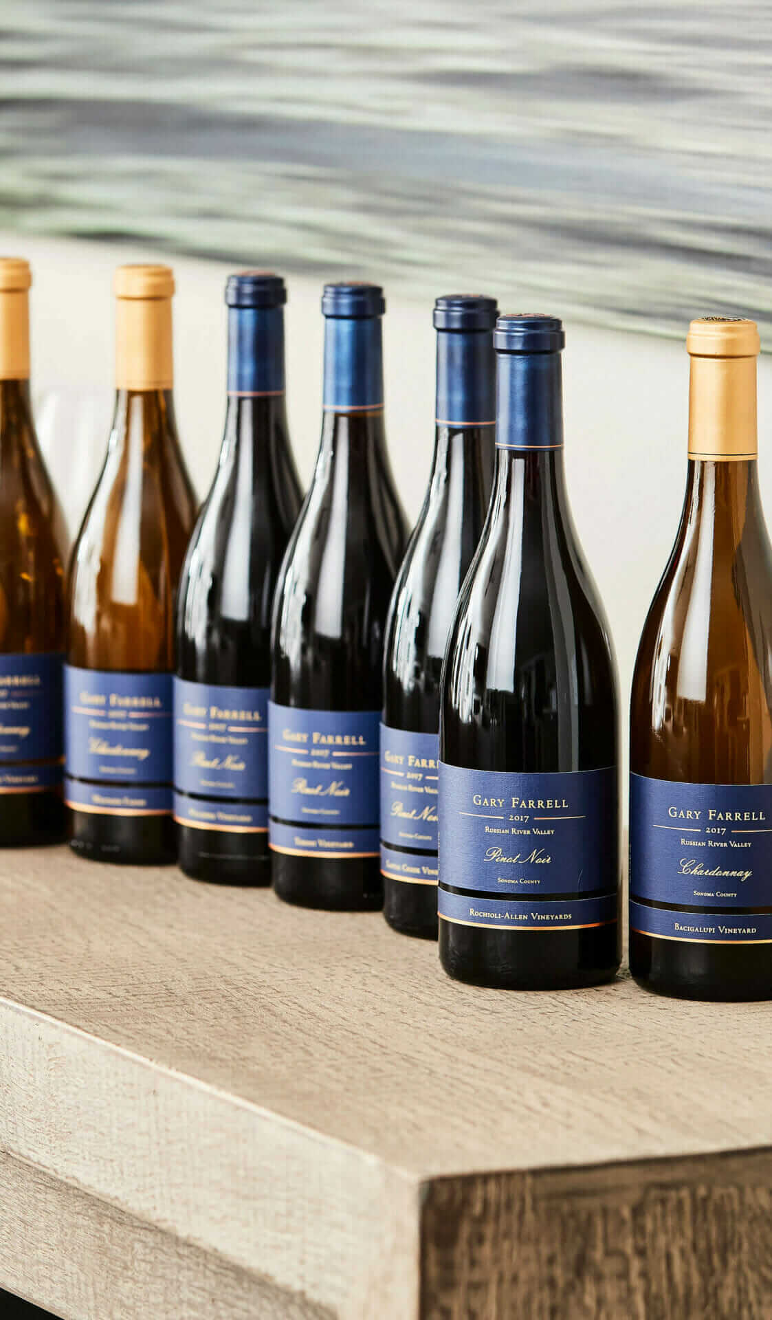 Best Vineyards to Visit in Sonoma