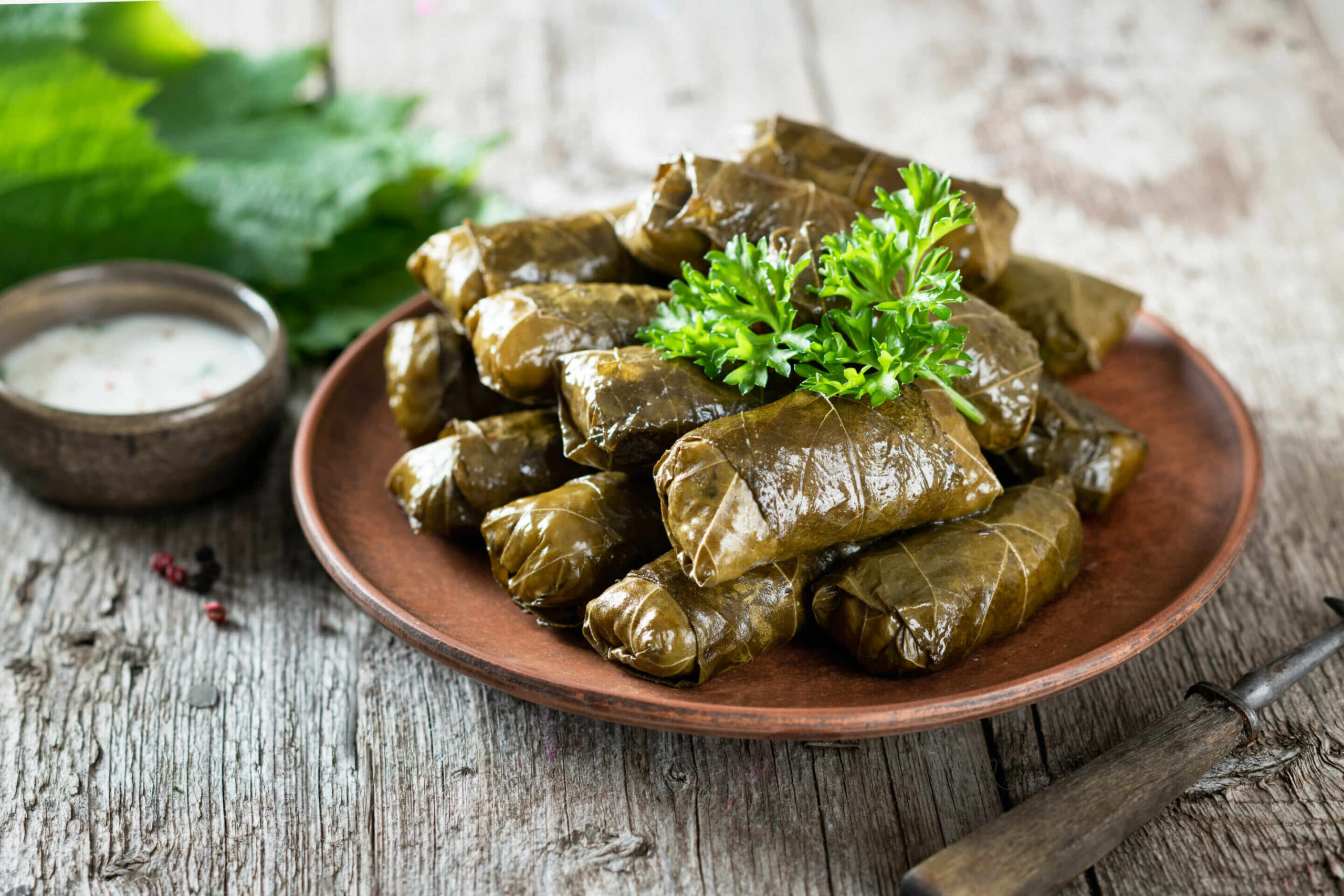 Dolma (Turkish Stuffed Grape leaves)