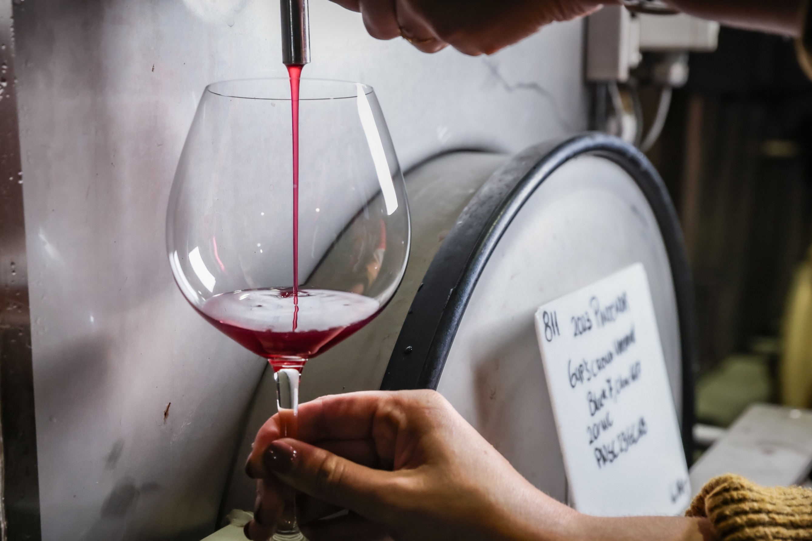 Somm Series: Harvest Seminar