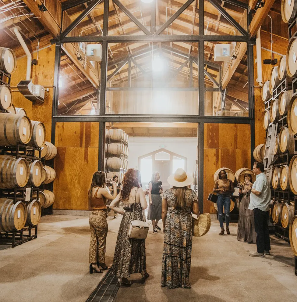 Group taking the Behind the Cellar Door tour at Gary Farrell Vineyards