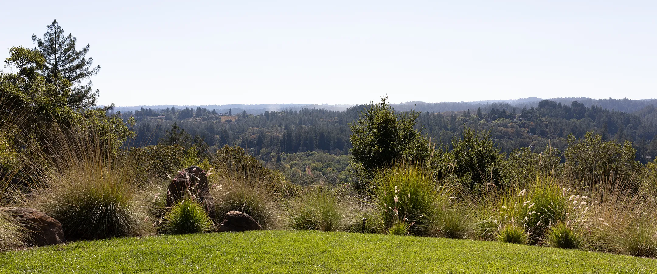 View from Gary Farrell property