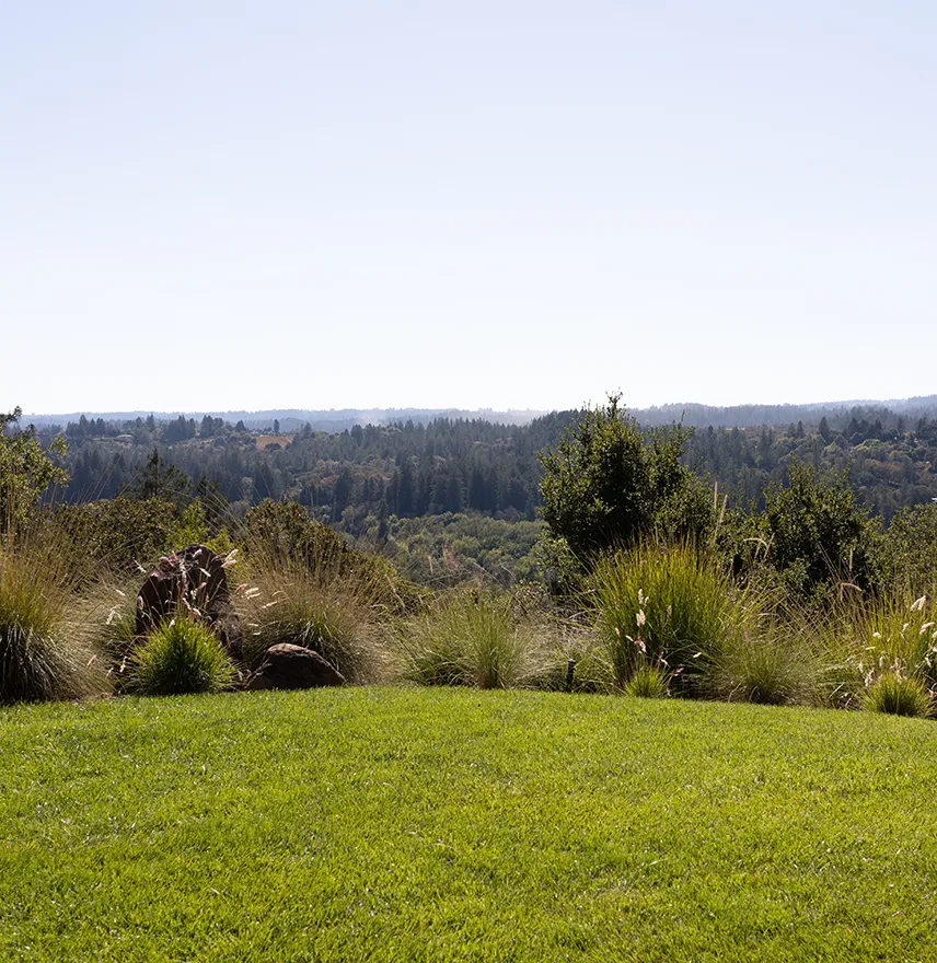 View from Gary Farrell property