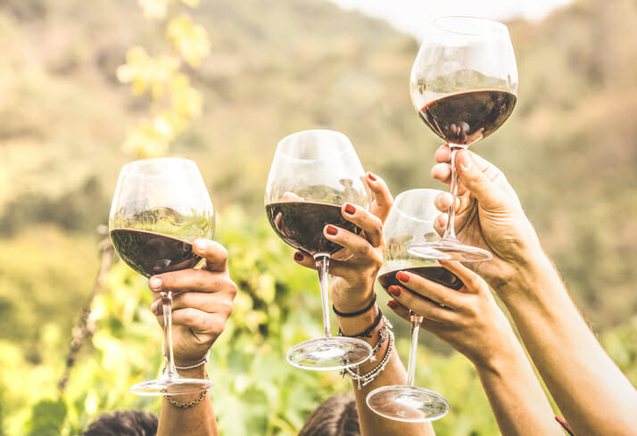 Your First Visit to Gary Farrell Winery: What to Expect from Arrival to Last Sip