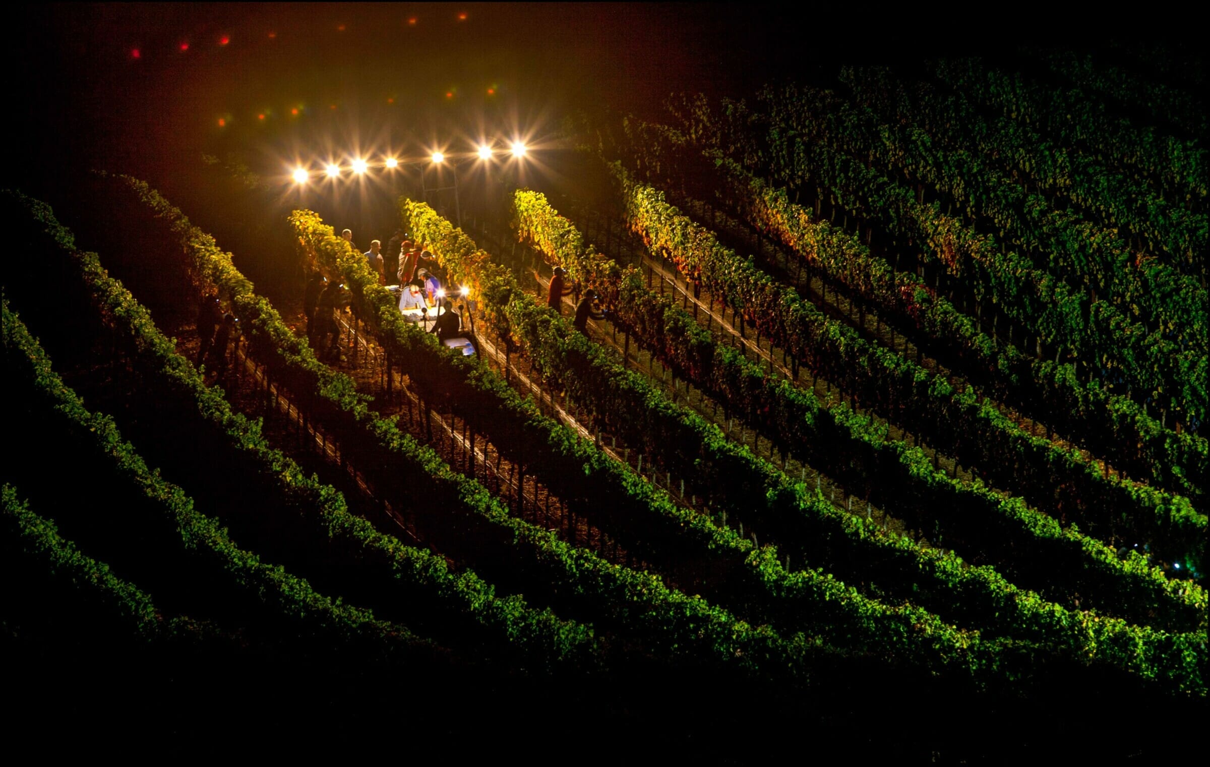 Wine Spotlight: 2017 Gap’s Crown Vineyard Pinot Noir