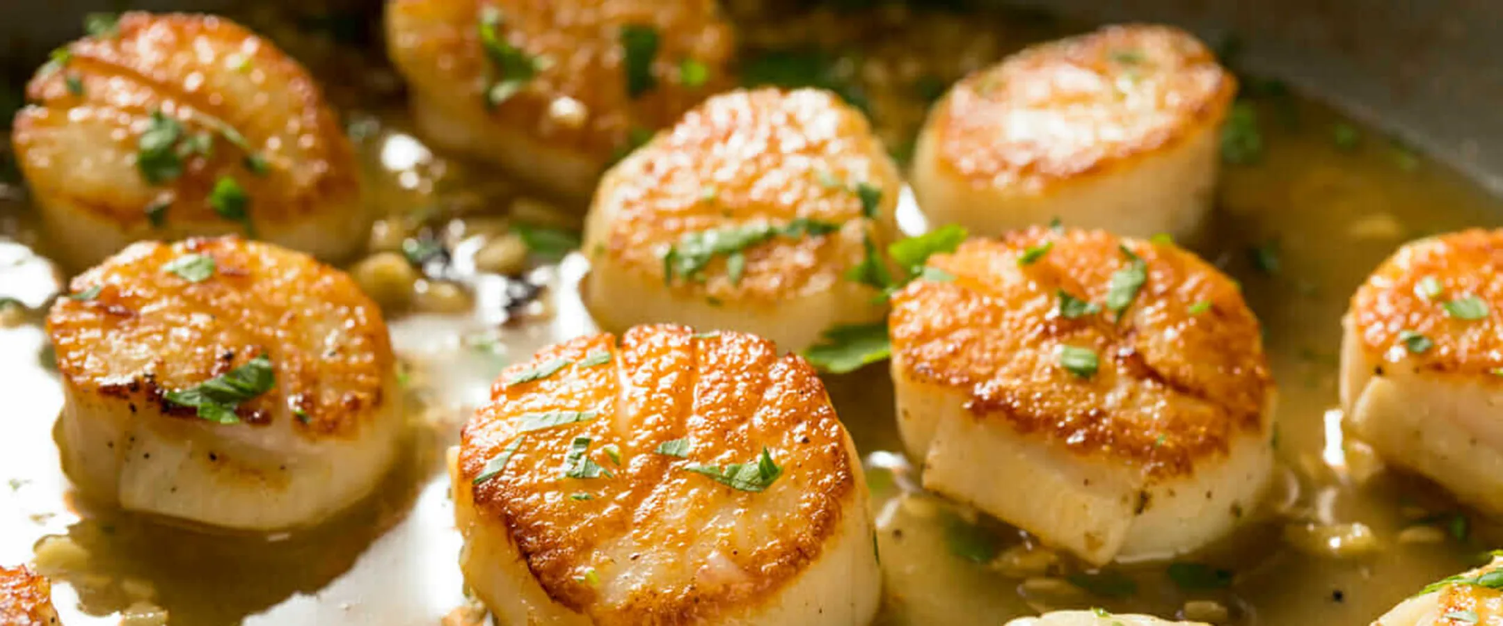 Closeup of scallops in a pan