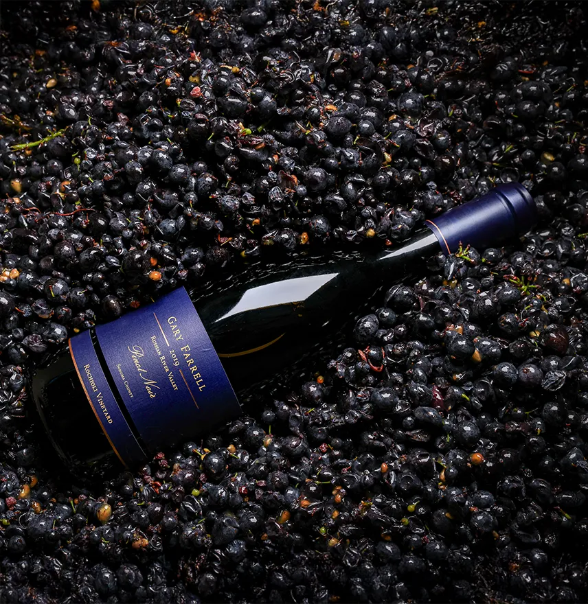 Gary Farrelll Rochioli Vineyard Pinot Noir Bottle in a bin of grapes
