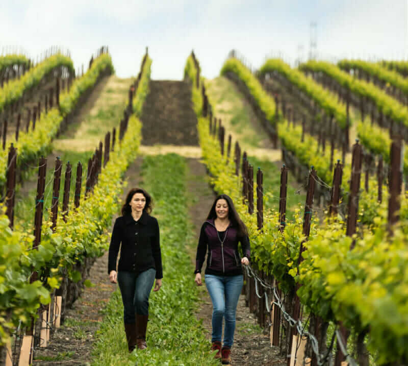Wine Spotlight: 2017 Terra de Promissio Vineyard Pinot Noir