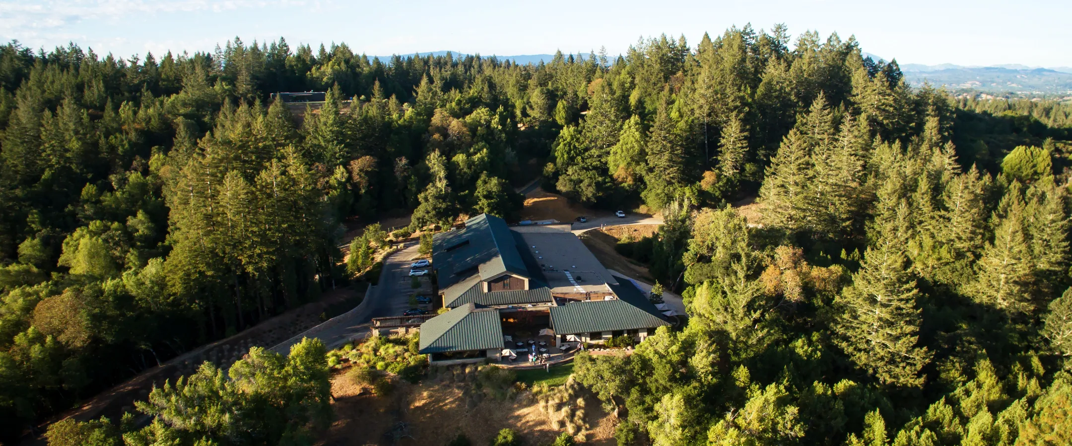 Aerial view of Gary Farrell winery and surroundings