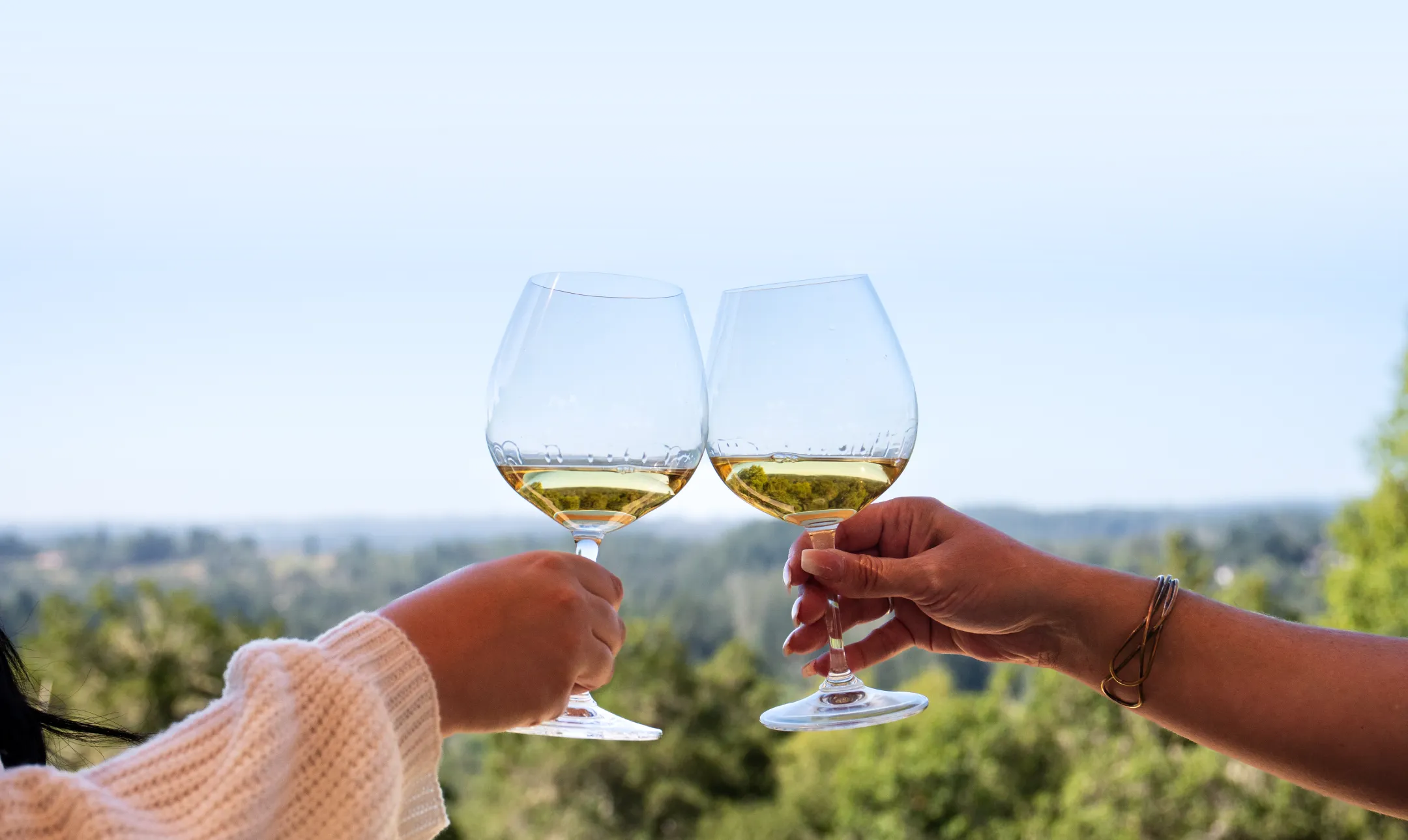Two people toasting with glasses of white wine