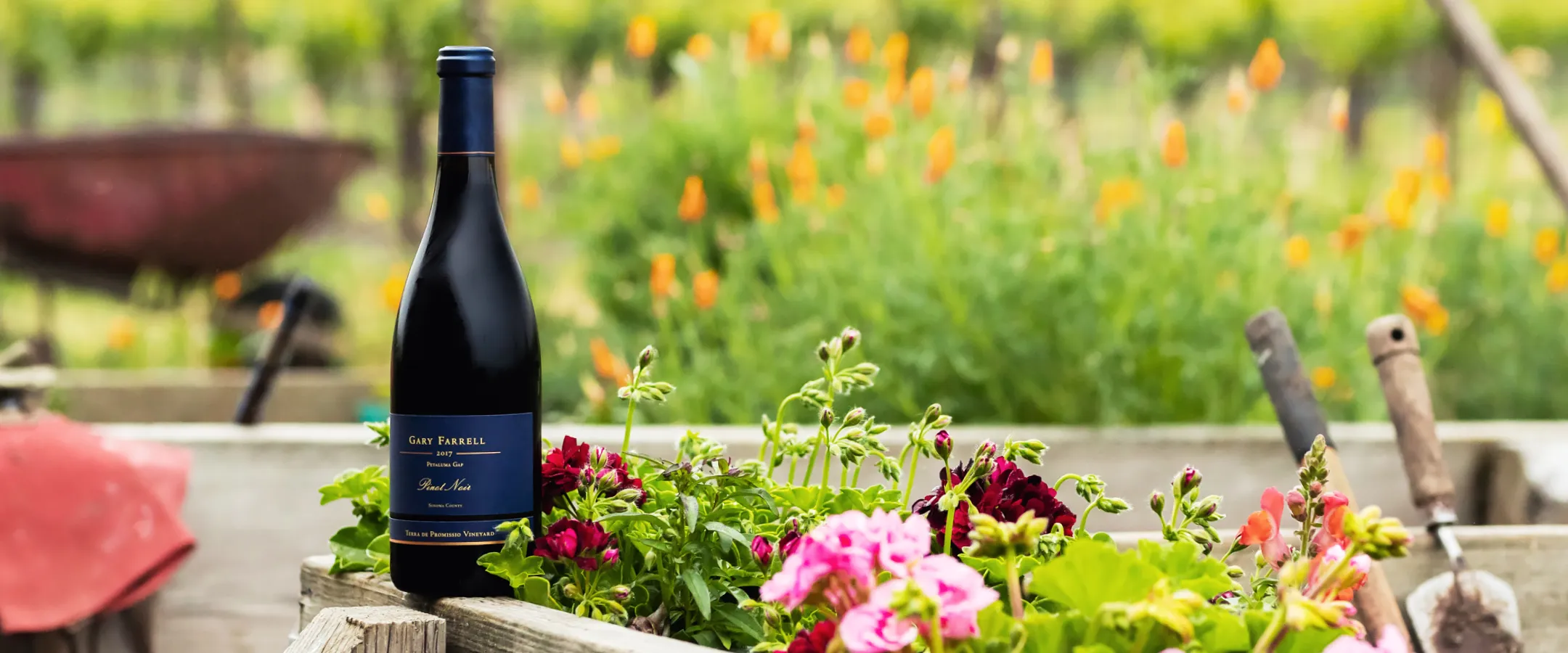 Bottle of Gary Farrell wine in the garden